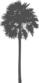 Washingtonia Logo (Header)