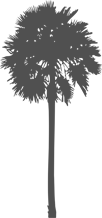 Washingtonia Logo (Header)